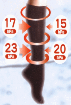 ���̓��x��