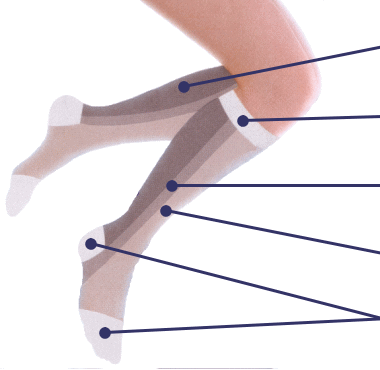 �l�ԍH�w�Ɋ�Â����݌v