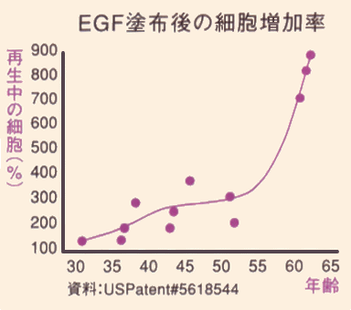 �d�f�e�h�z��̍זE������