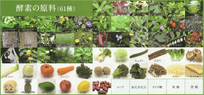 �y�f�̌���