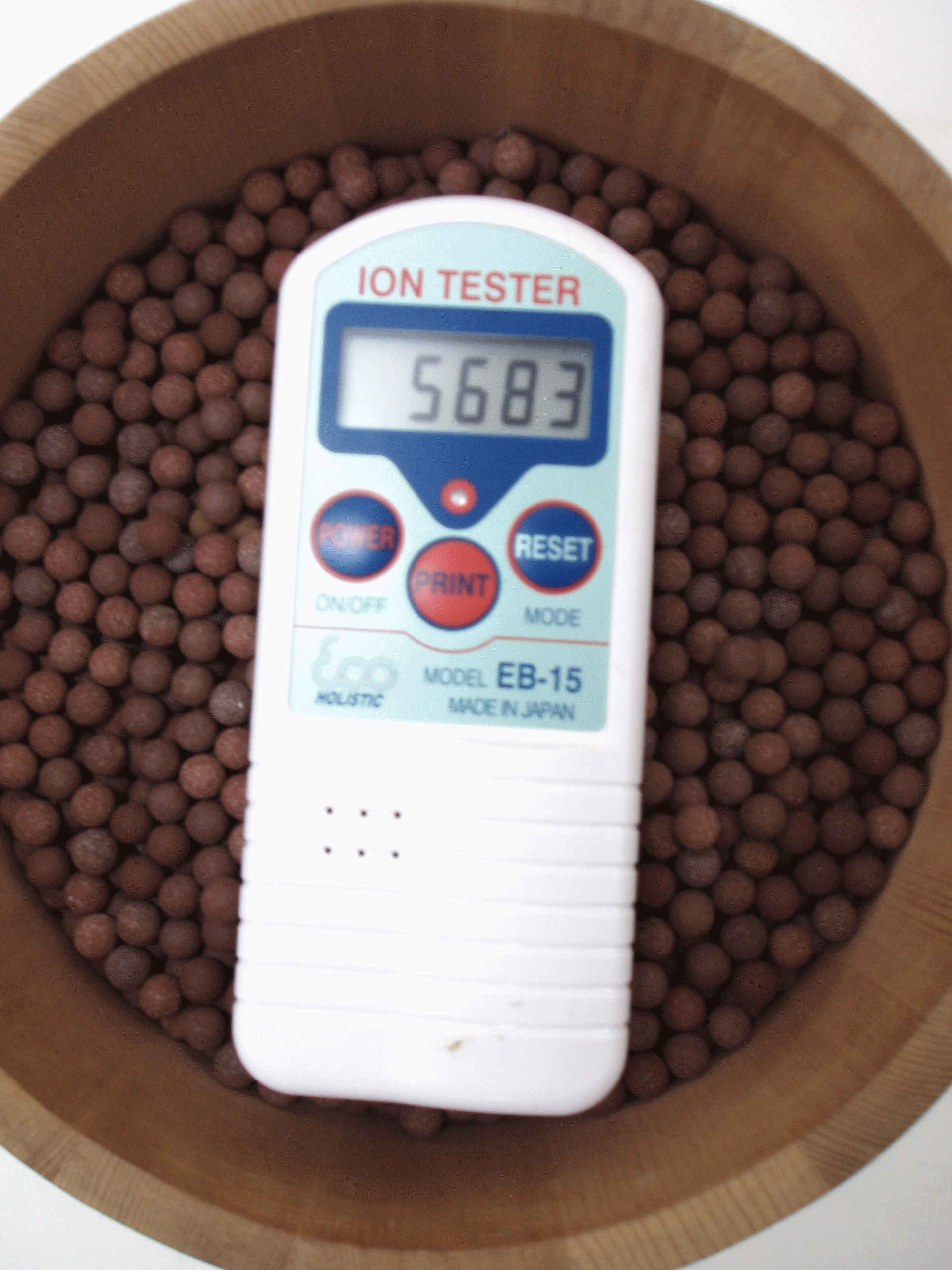 �C�I���e�X�^�[