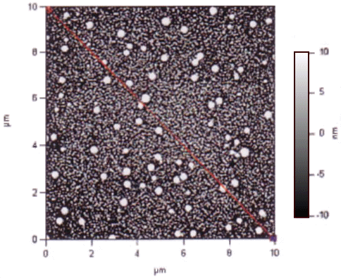 ���n���̃v���|���X�̗��q