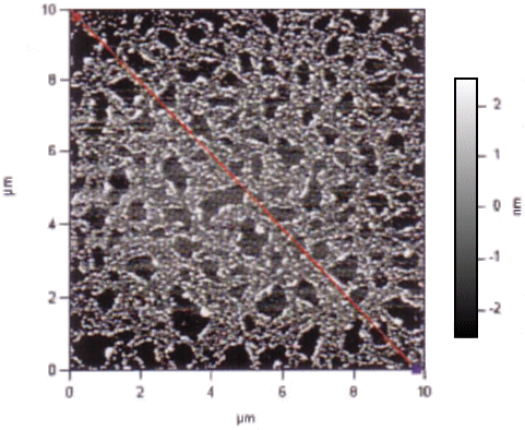 �P�O�N�n���̃v���|���X�̗��q