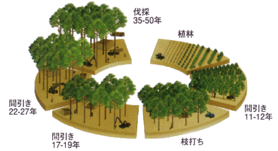 �t�����X�C�ݏ��̊Ǘ�