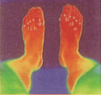 �p�b�h��~���ĂT����