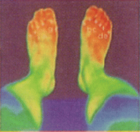 �p�b�h��~���O