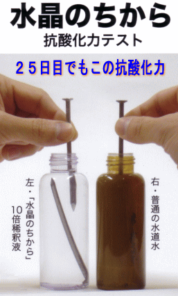 �R�_���̓e�X�g