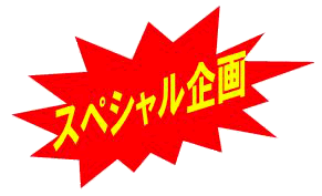 �X�y�V�������