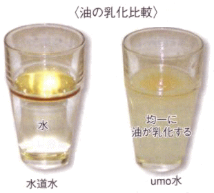 �_�C�G�b�g��