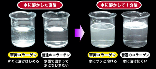 �ؕ��R���[�Q��